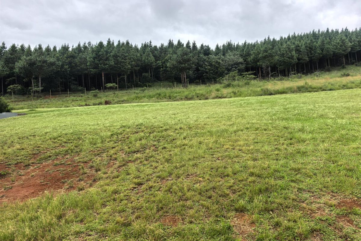 A spacious, level residential plot featuring a well-maintained grass lawn and a scenic backdrop of mature pine trees with perimeter fencing.