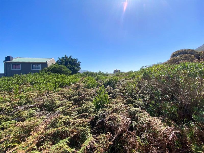 Comfortable 880sqm Stand in a Coastal Village Setting! - Photo 5