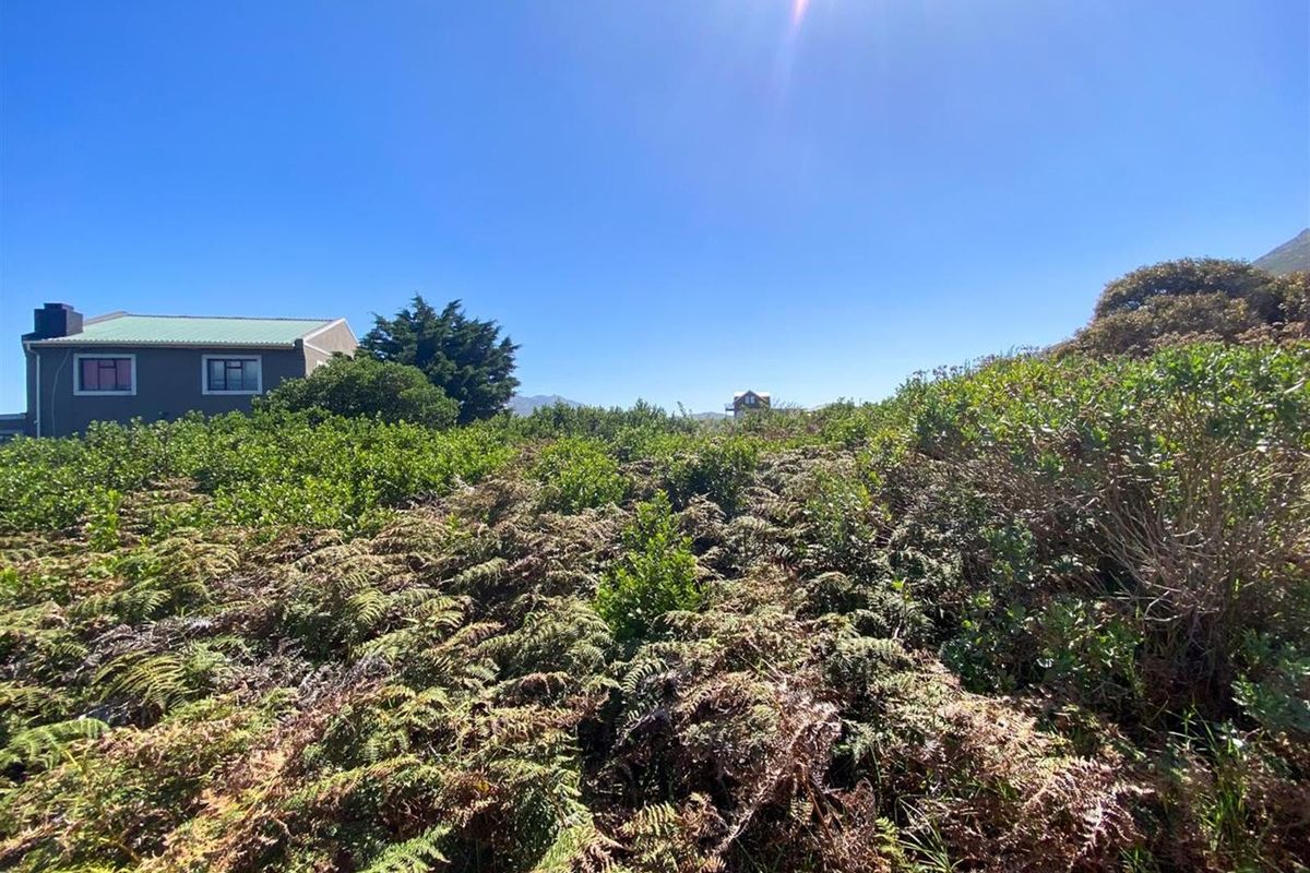 Comfortable 880sqm Stand in a Coastal Village Setting! - Photo 5