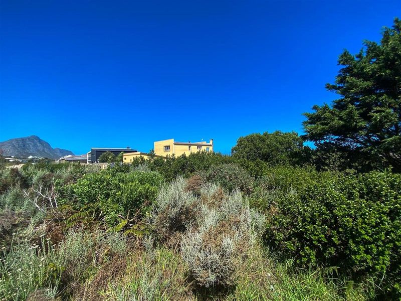 Comfortable 880sqm Stand in a Coastal Village Setting! - Photo 9