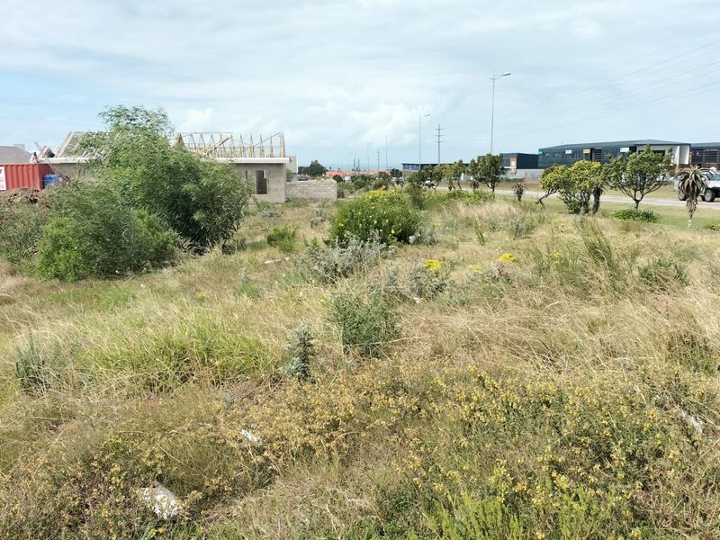 Vacant Land For Sale in Jeffreys Bay - Photo 3