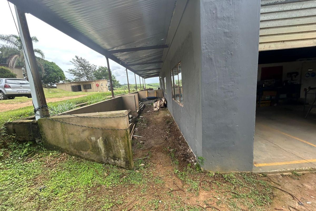Industrial Property To Rent in Marburg Settlement, Port Shepstone, KwaZulu Natal - Photo 4