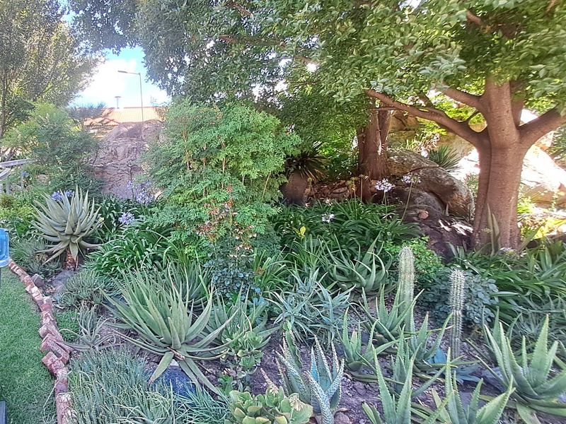 2 bedroom Life right unit on the banks of the Vaal River - Photo 7