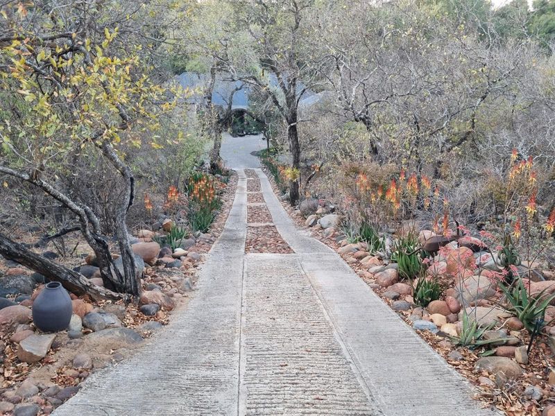 A warm, luxurious jewel of a Home available in Blyde Wildlife Estate - Photo 2