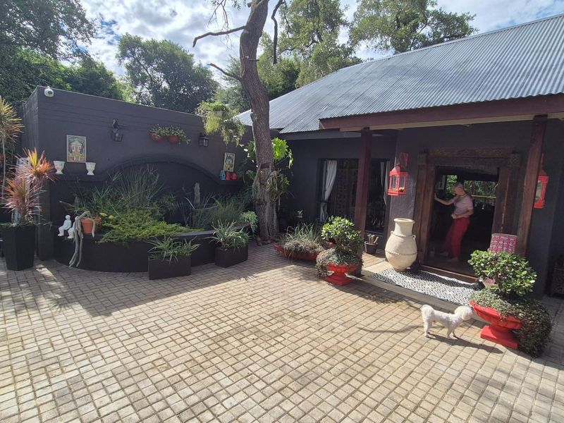 A warm, luxurious jewel of a Home available in Blyde Wildlife Estate - Photo 6