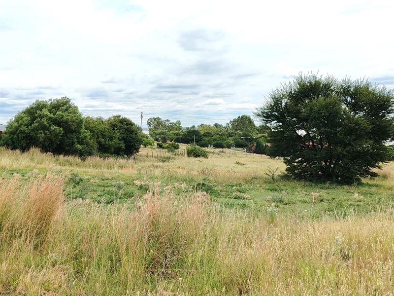 Vacant Land For Sale in Oranjeville - Photo 1