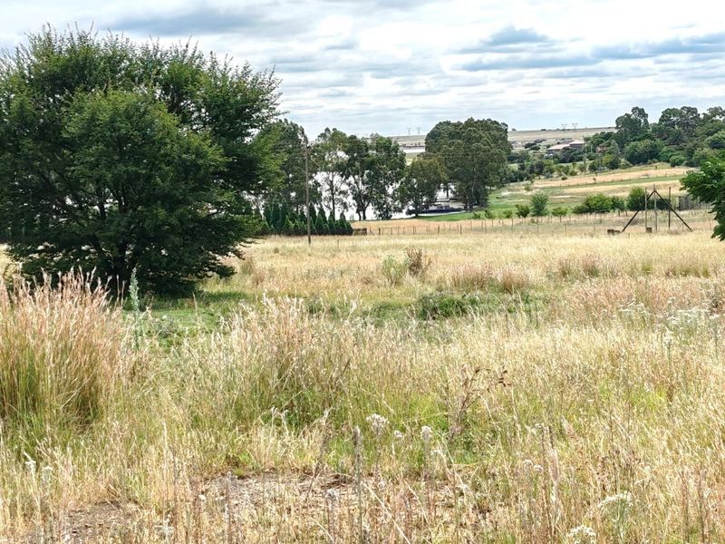 Vacant Land For Sale in Oranjeville - Photo 2