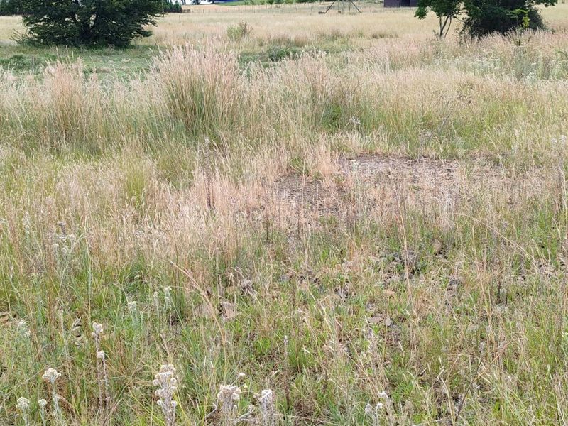 Vacant Land For Sale in Oranjeville - Photo 4