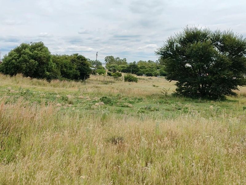 Vacant Land For Sale in Oranjeville - Photo 5