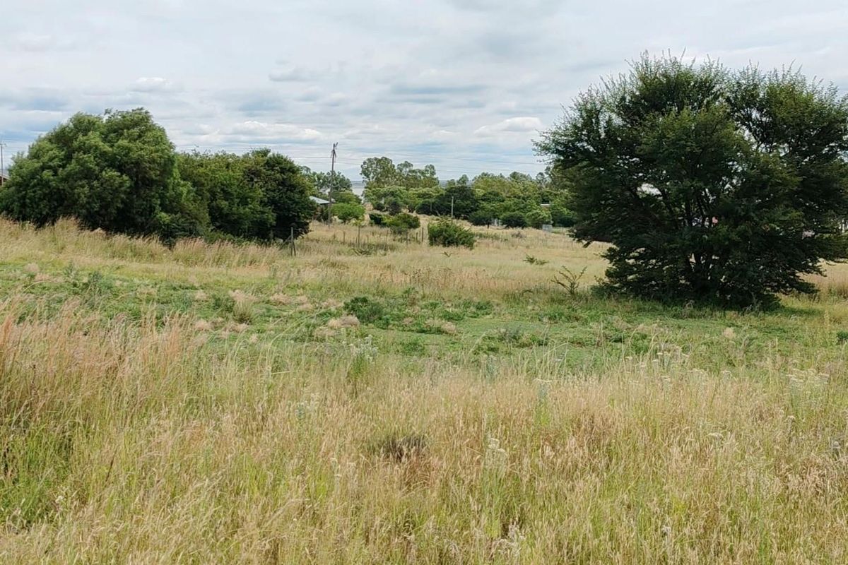 Vacant Land For Sale in Oranjeville - Photo 5