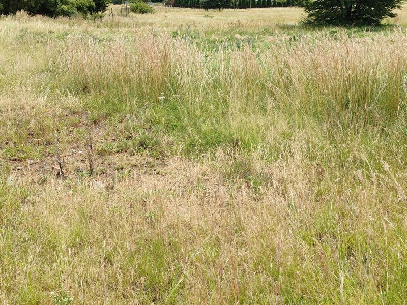 Vacant Land For Sale in Oranjeville - Photo 3