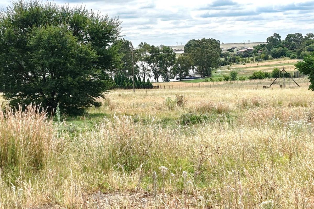 A view of the vacant residential land featuring natural grass, mature trees, and surrounding landscape.