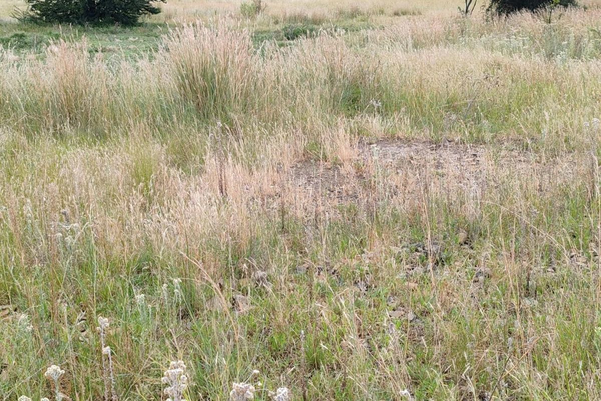 A view of the vacant residential land featuring natural grass coverage and open space, suitable for future development.