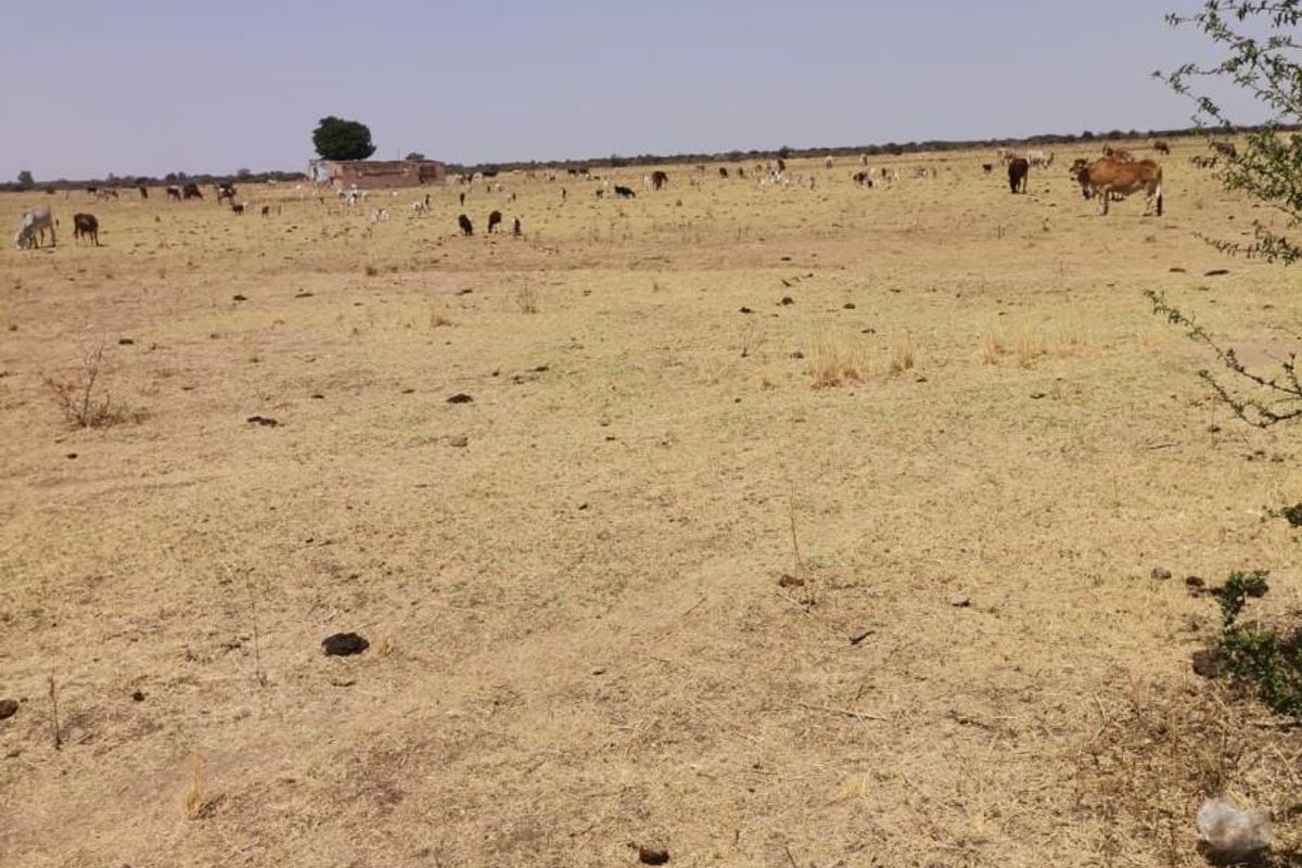 Vacant Land For Sale in Moeka, North West - Photo 2