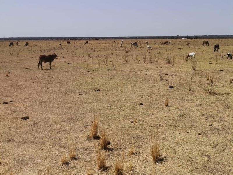 Vacant Land For Sale in Moeka, North West - Photo 10