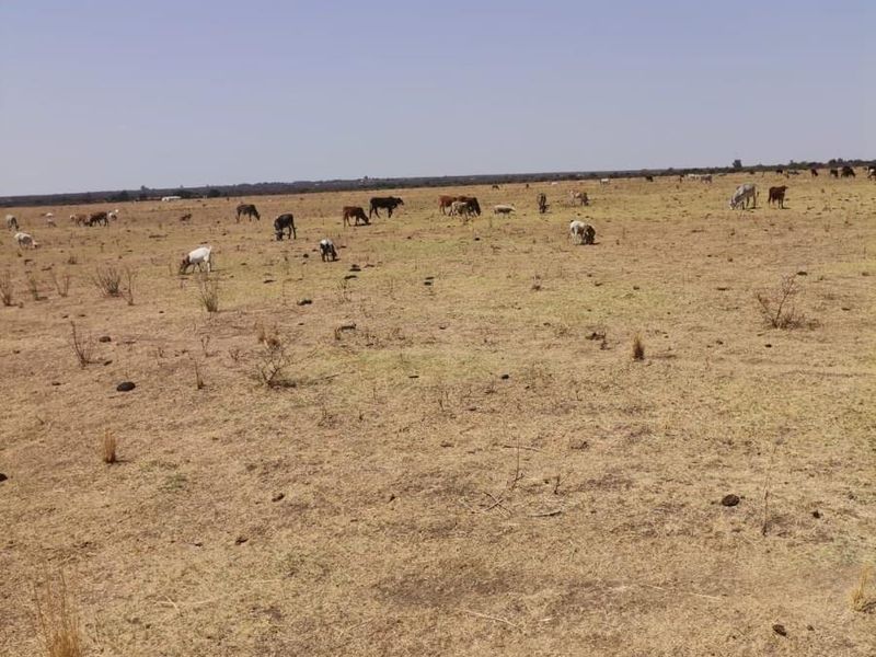 Vacant Land For Sale in Moeka, North West - Photo 9