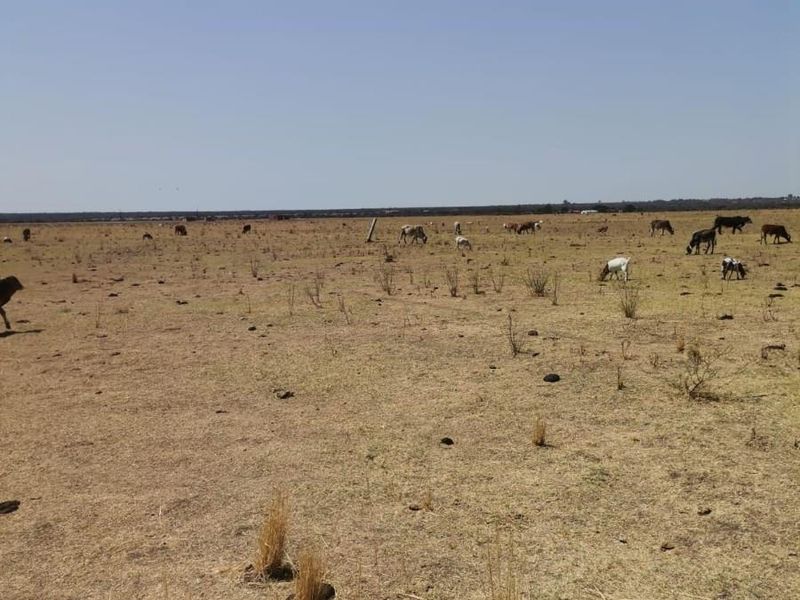 Vacant Land For Sale in Moeka, North West - Photo 8