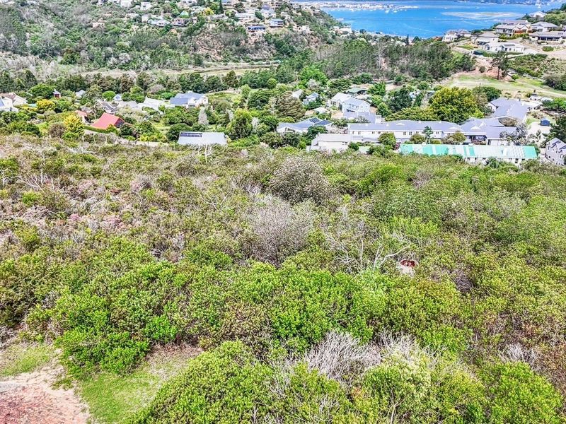 Vacant Land with Lagoon Views For Sale in Knysna - Photo 7