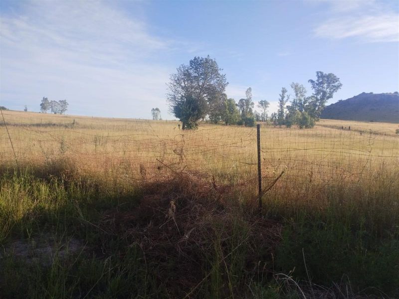 Picturesque Setting with mountain backdrop. Vacant land, small holding in Mantsopa - Hobhouse - Photo 10