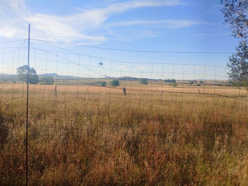 Picturesque Setting with mountain backdrop. Vacant land, small holding in Mantsopa - Hobhouse - Photo 8