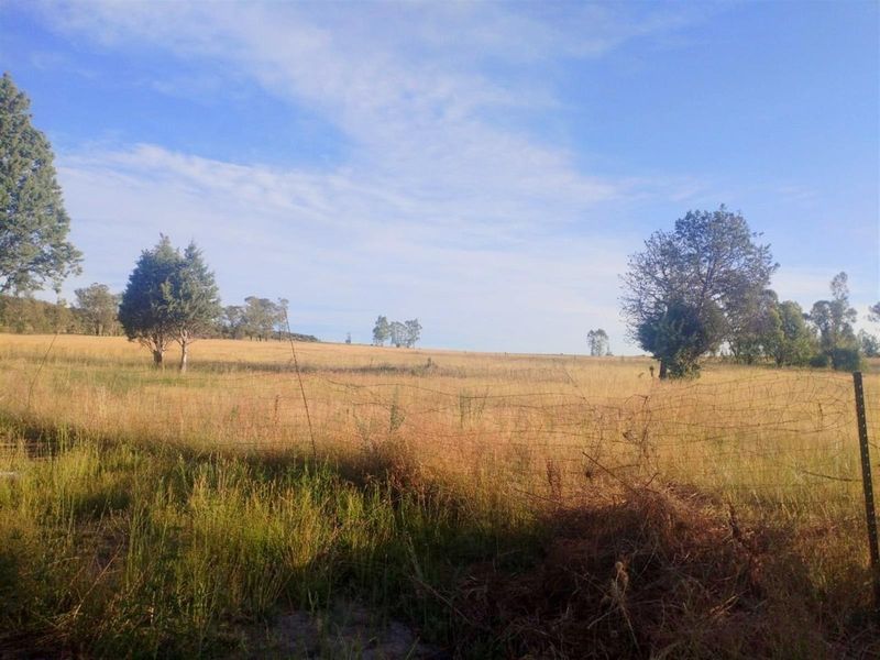 Picturesque Setting with mountain backdrop. Vacant land, small holding in Mantsopa - Hobhouse - Photo 6