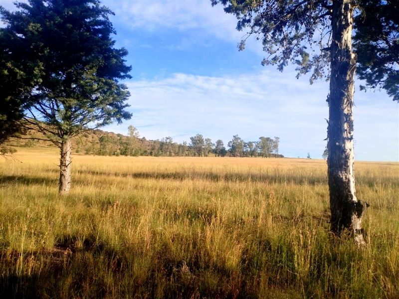 Picturesque Setting with mountain backdrop. Vacant land, small holding in Mantsopa - Hobhouse - Photo 3
