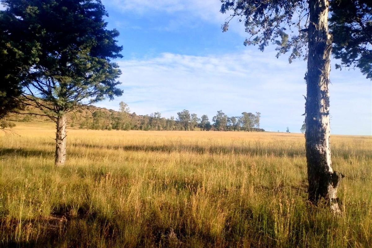 Picturesque Setting with mountain backdrop. Vacant land, small holding in Mantsopa - Hobhouse - Photo 3