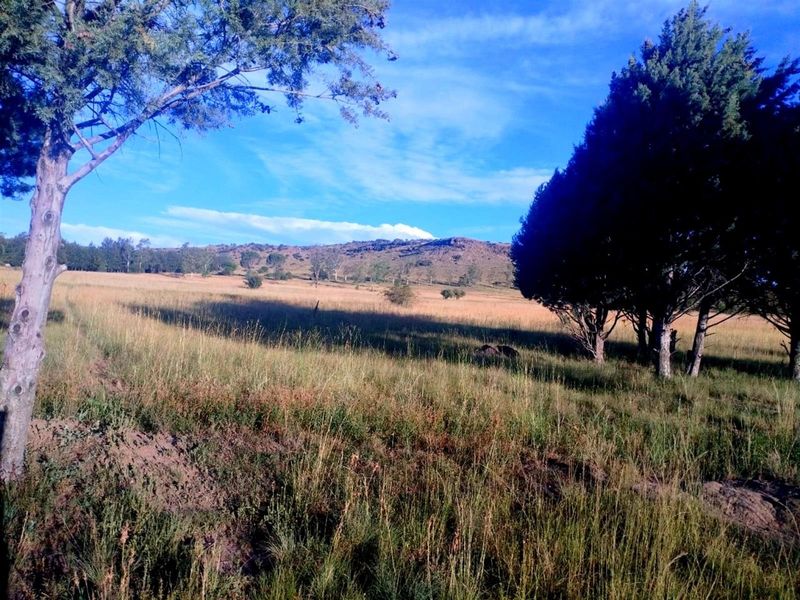 Picturesque Setting with mountain backdrop. Vacant land, small holding in Mantsopa - Hobhouse - Photo 4