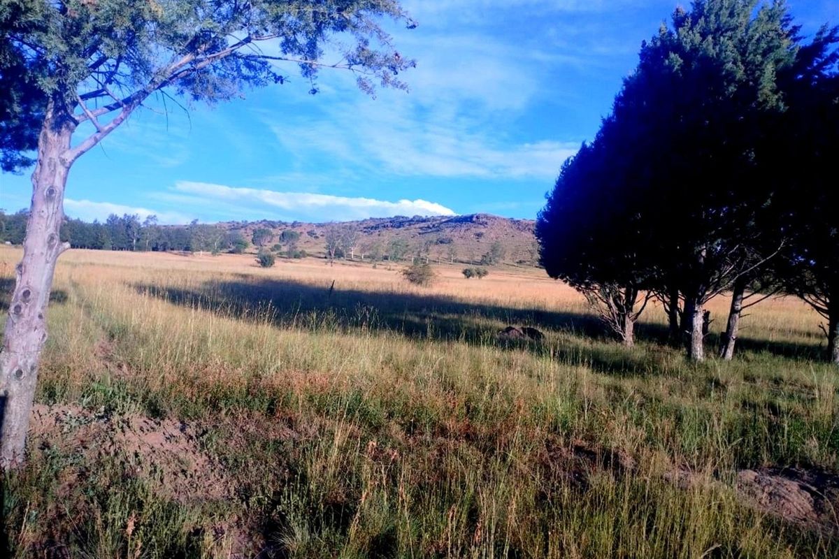 Picturesque Setting with mountain backdrop. Vacant land, small holding in Mantsopa - Hobhouse - Photo 4