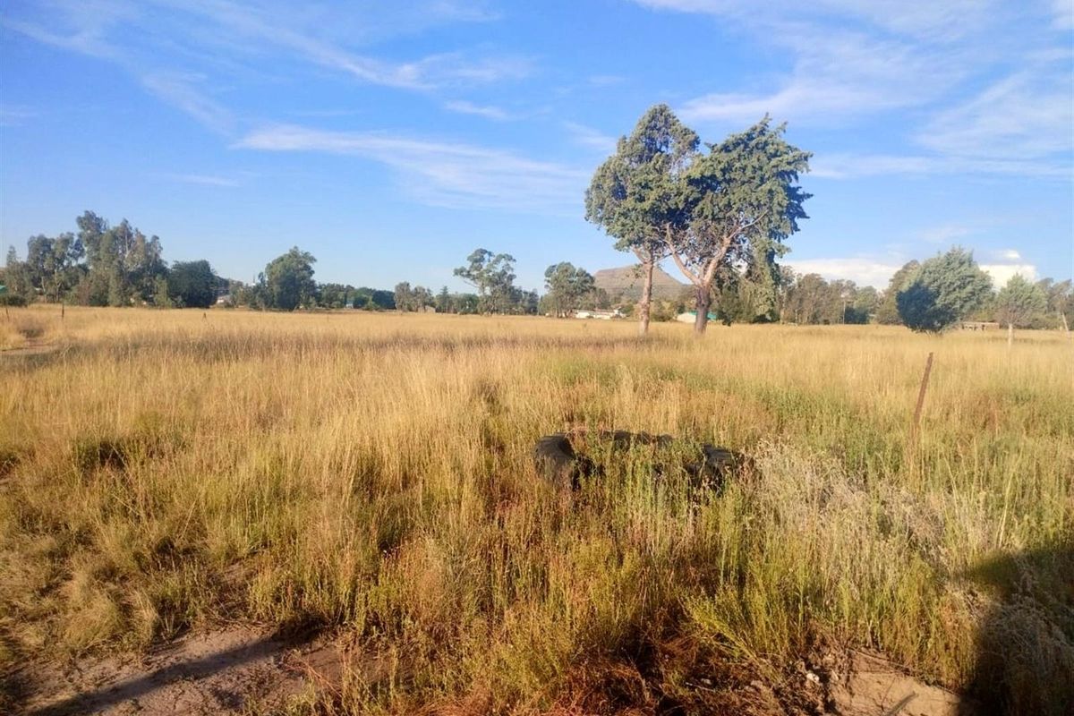 Picturesque Setting with mountain backdrop. Vacant land, small holding in Mantsopa - Hobhouse - Photo 5