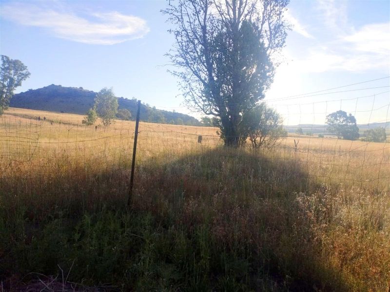 Picturesque Setting with mountain backdrop. Vacant land, small holding in Mantsopa - Hobhouse - Photo 9