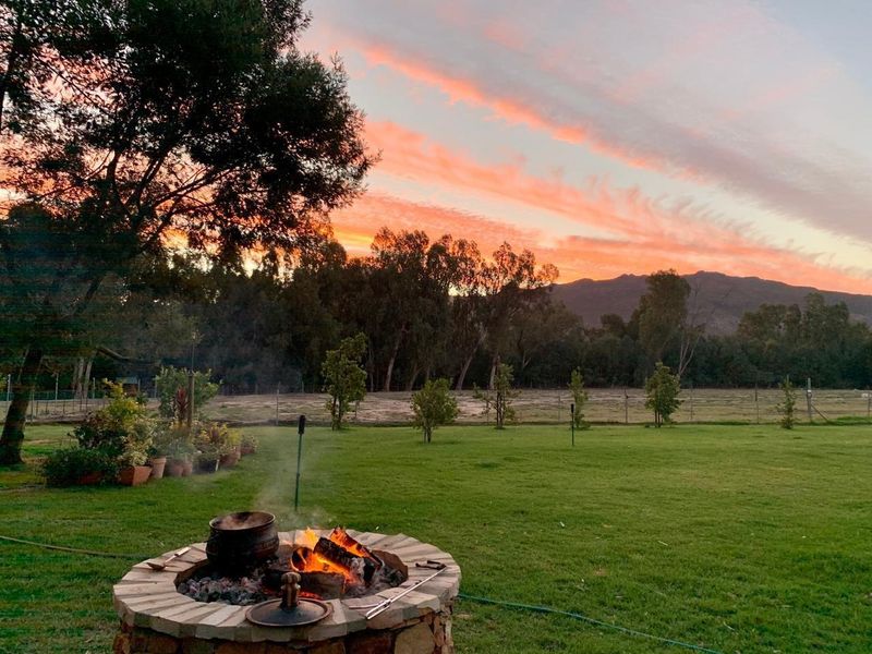 Farm For Sale in Tulbagh Rural, Tulbagh - Photo 8