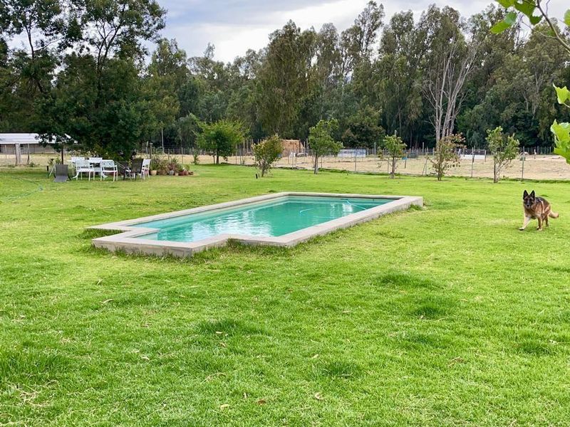 Farm For Sale in Tulbagh Rural, Tulbagh - Photo 7