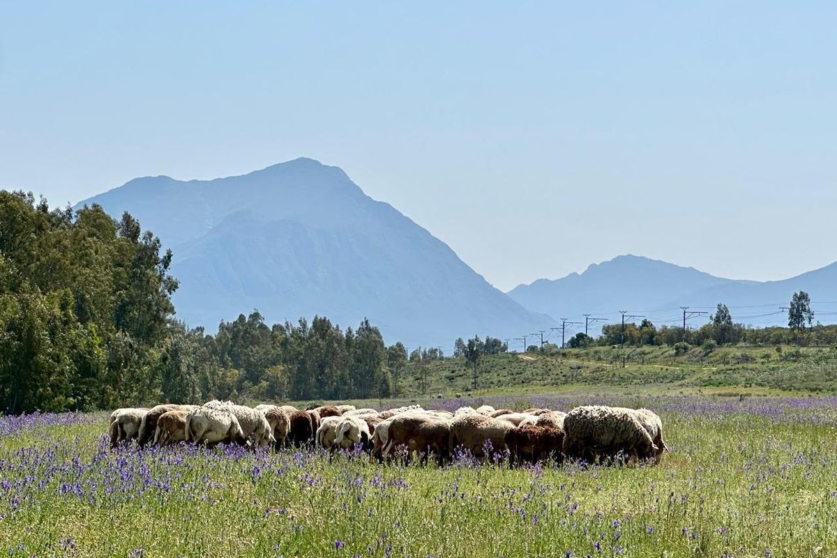 Another Kind of Freedom - Life on the Riverbend - Photo 2