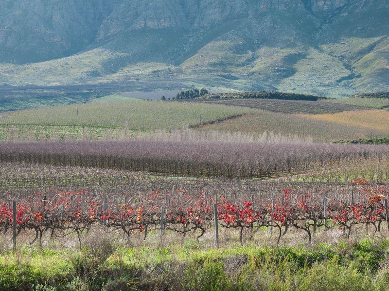 Farm For Sale in Tulbagh Rural, Tulbagh - Photo 10