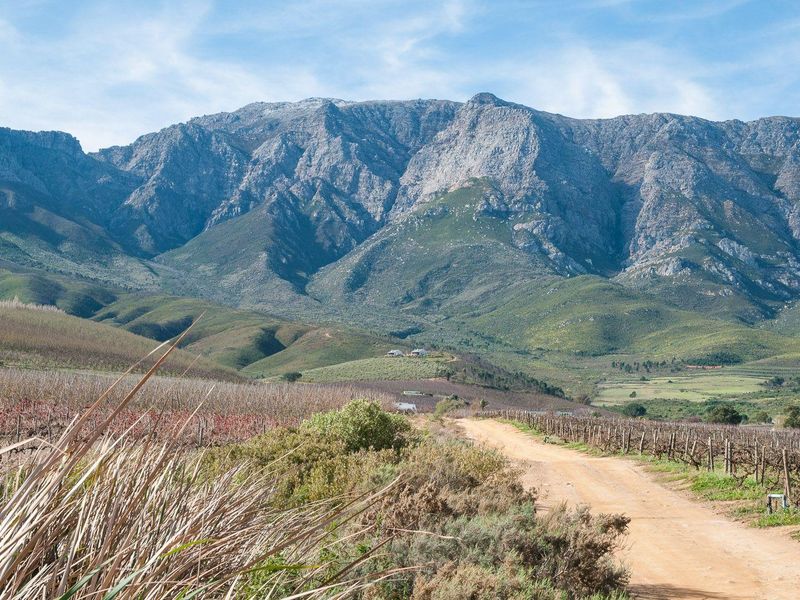 Farm For Sale in Tulbagh Rural, Tulbagh - Photo 9