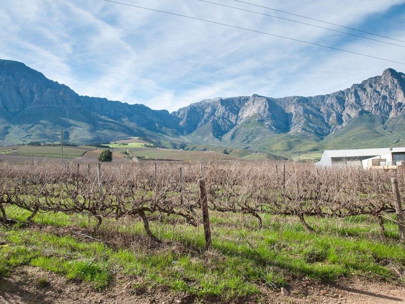 Farm For Sale in Tulbagh Rural, Tulbagh - Photo 3