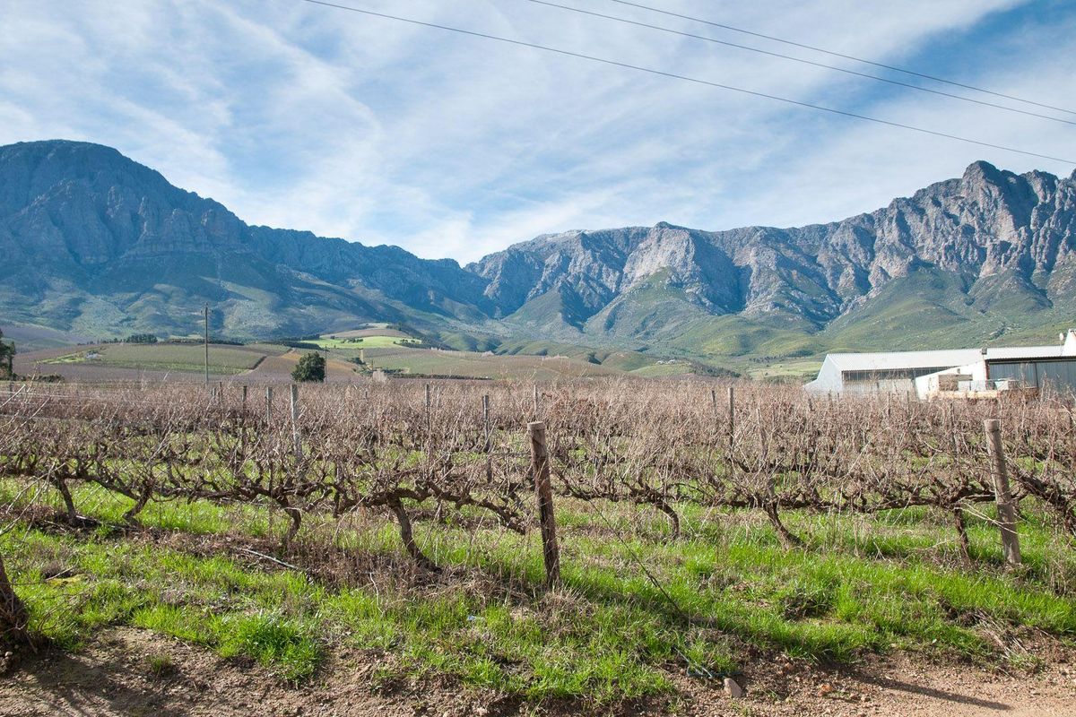 Farm For Sale in Tulbagh Rural, Tulbagh - Photo 3