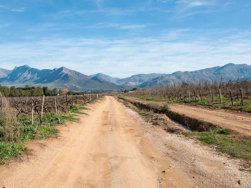 Farm For Sale in Tulbagh Rural, Tulbagh - Photo 8