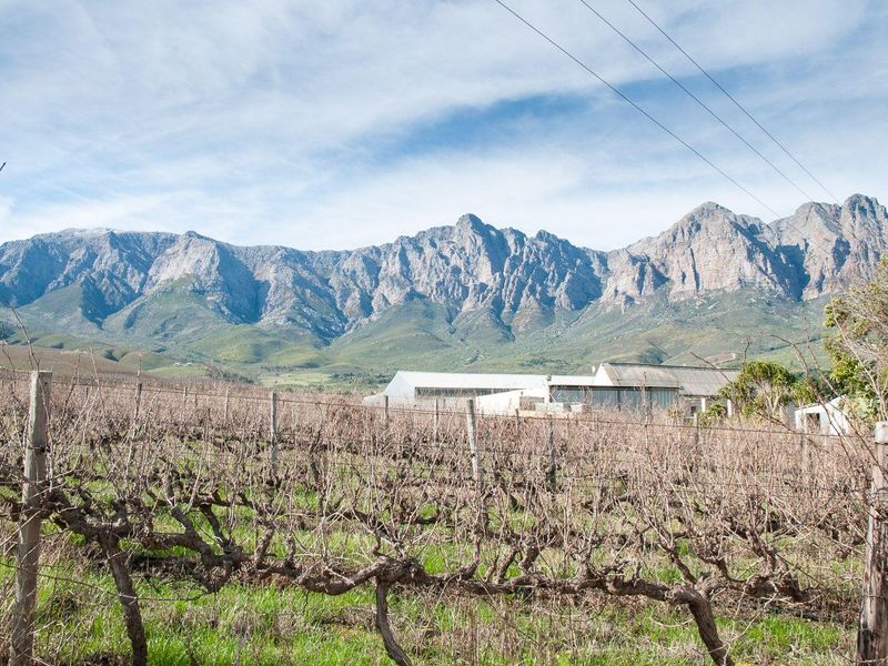 Farm For Sale in Tulbagh Rural, Tulbagh - Photo 4