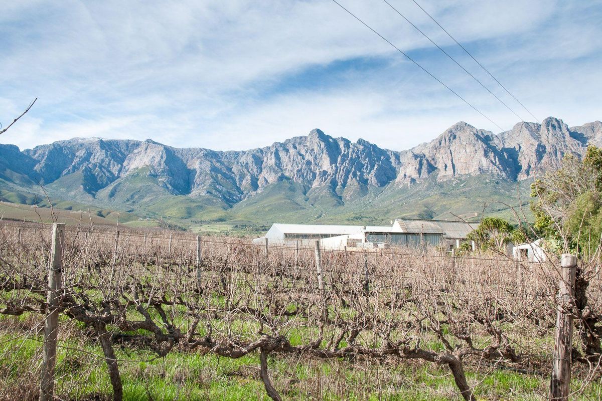 Farm For Sale in Tulbagh Rural, Tulbagh - Photo 4