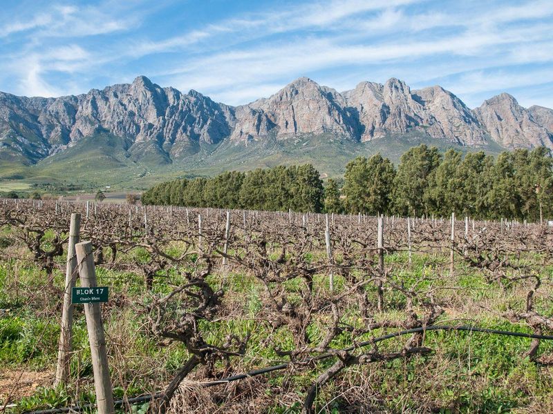 Farm For Sale in Tulbagh Rural, Tulbagh - Photo 5