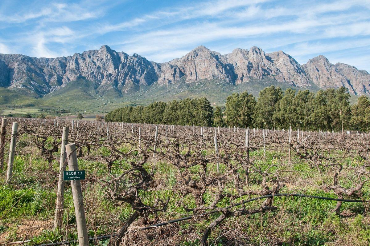 Farm For Sale in Tulbagh Rural, Tulbagh - Photo 5