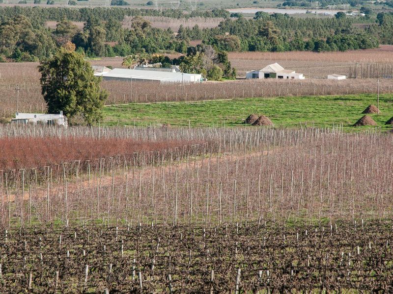 Farm For Sale in Tulbagh Rural, Tulbagh - Photo 2