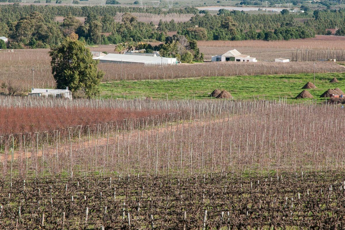 Farm For Sale in Tulbagh Rural, Tulbagh - Photo 2