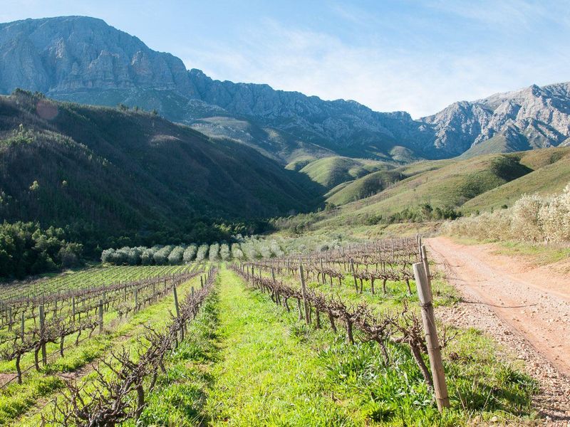 Farm For Sale in Tulbagh Rural, Tulbagh - Photo 6