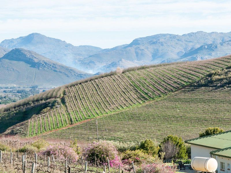 Farm For Sale in Tulbagh Rural, Tulbagh - Photo 4