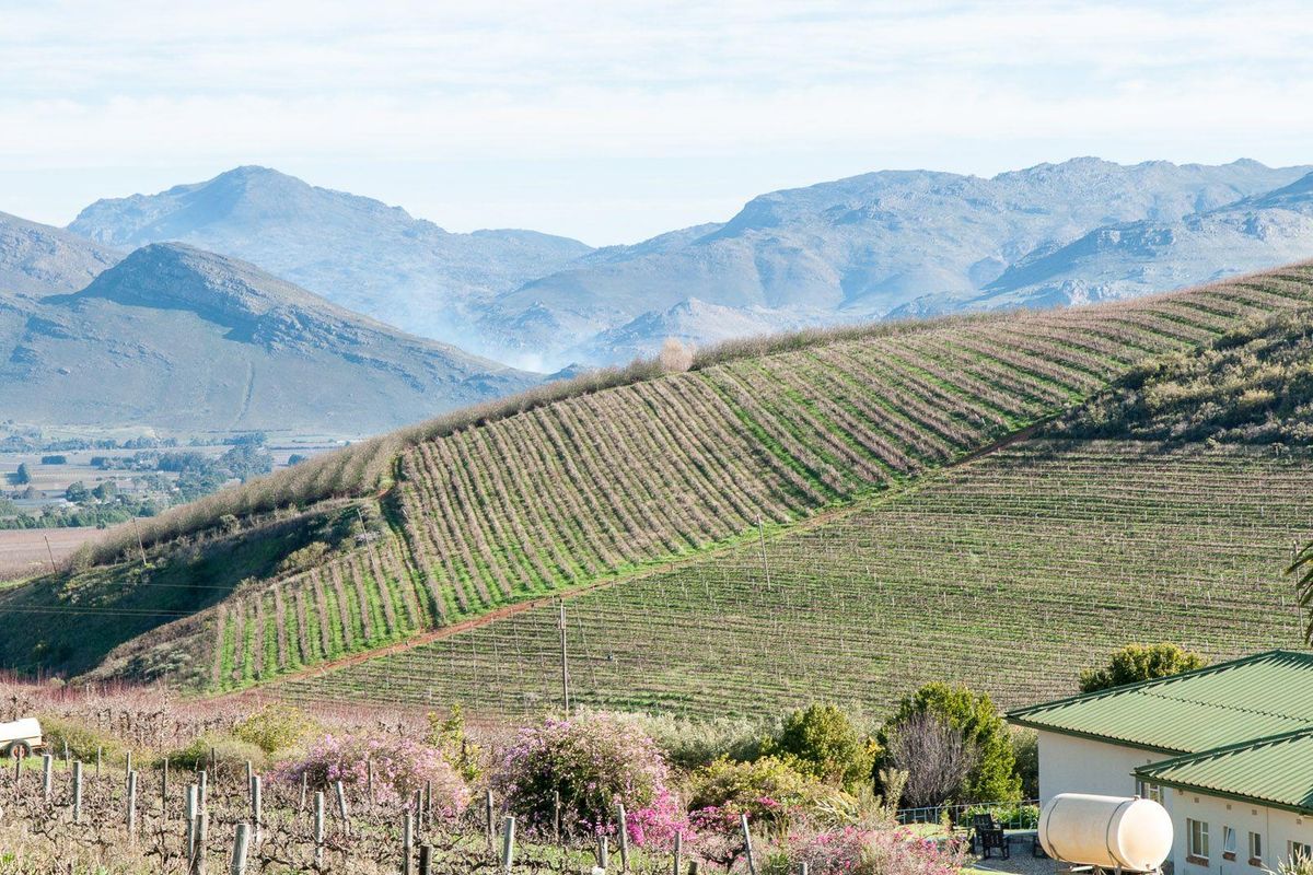 Farm For Sale in Tulbagh Rural, Tulbagh - Photo 4