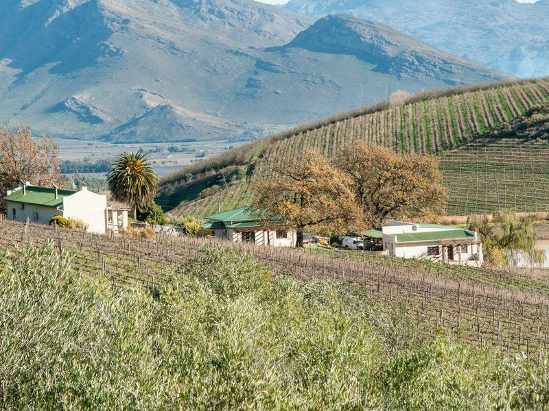 Farm For Sale in Tulbagh Rural, Tulbagh - Photo 3