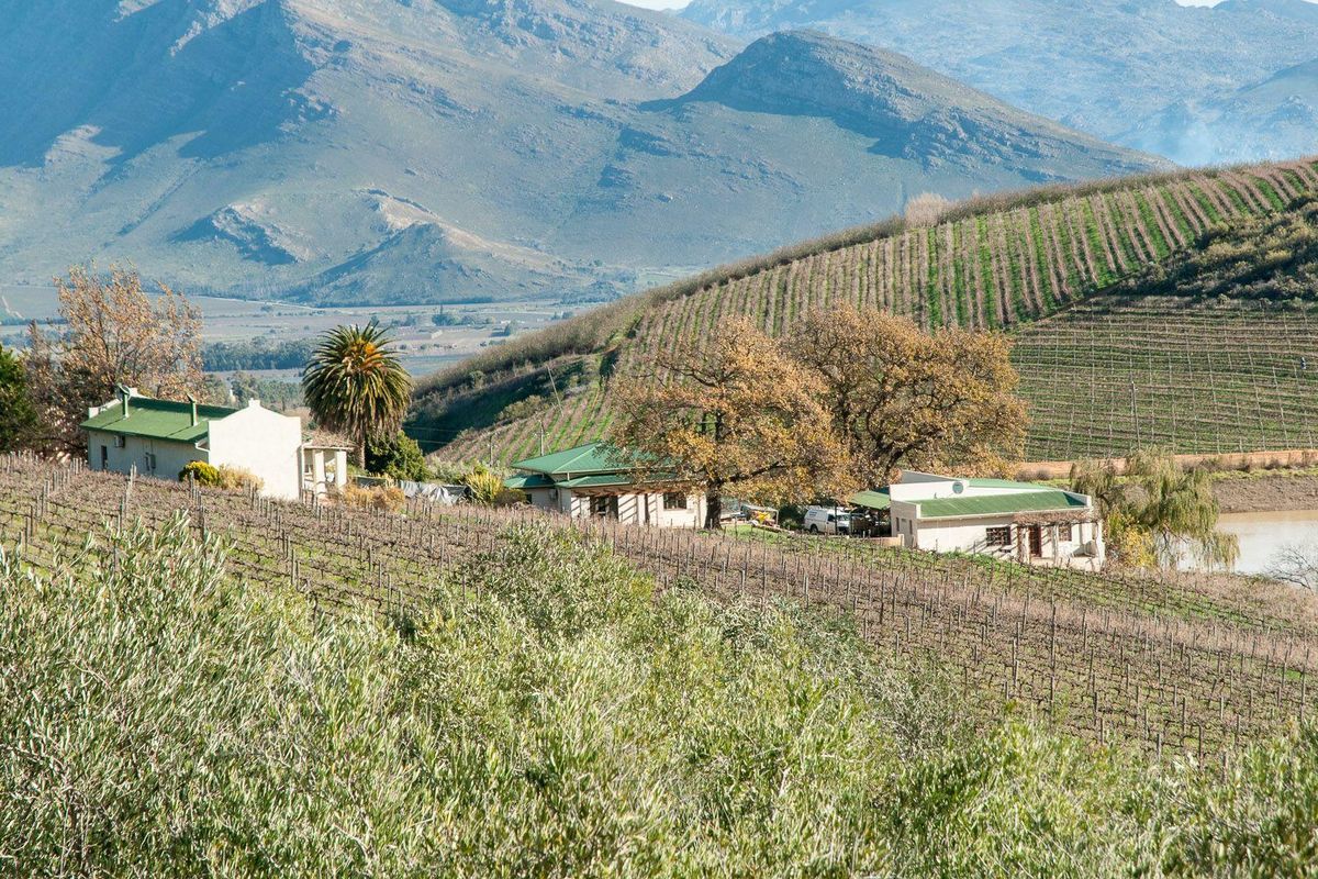 Farm For Sale in Tulbagh Rural, Tulbagh - Photo 3